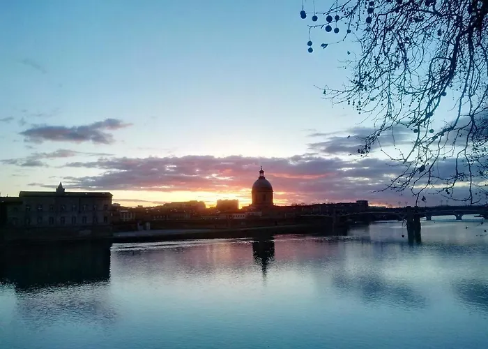 Apartamento Le Cocon De La Daurade By Cocoonr *